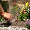 14389 All-Weather Plant Cover credit: Garden Gurus