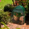 14390 Sun & Insect Mesh Cover credit: Garden Gurus