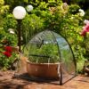 14391 Greenhouse Plant Cover credit: Garden Gurus
