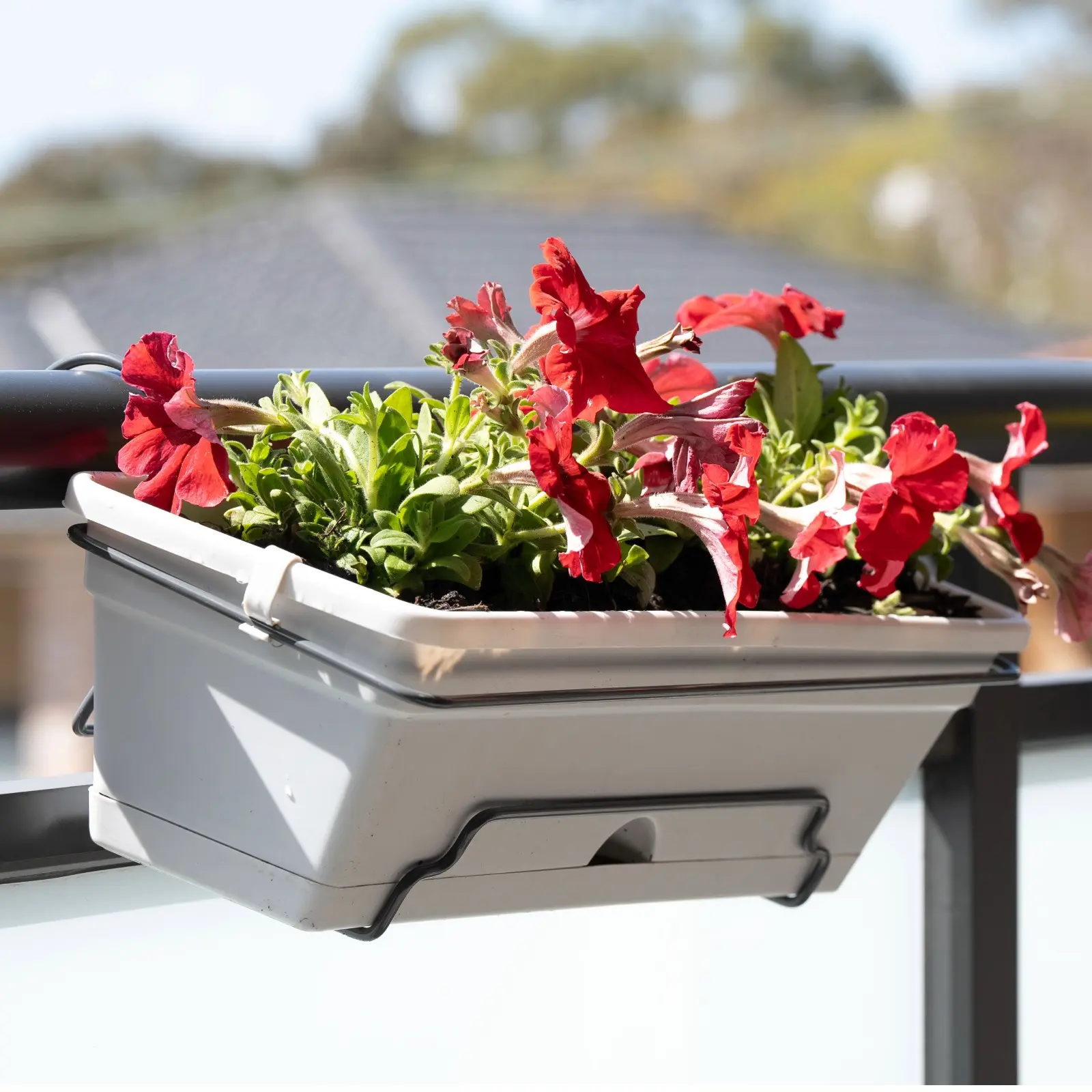 18171 Jack Window Box Classique lifestyle