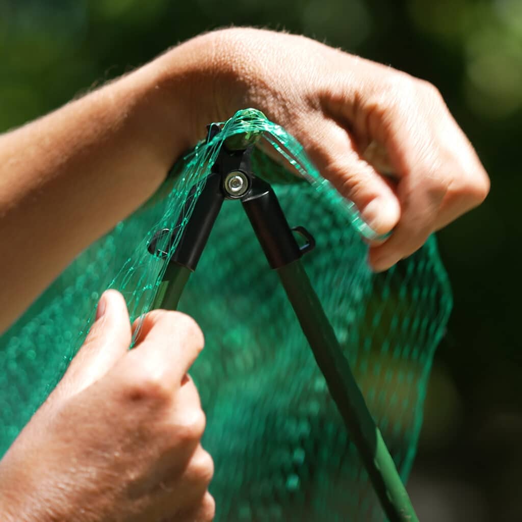 Pea & Bean Frames Jack