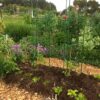 18298 18302 Tomato Cage