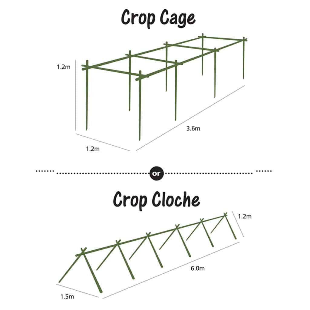 Crop Cages Jack