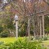 18405 Motion Sensor Owl