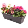 18442 Garden Up classic pot charcoal