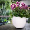 18542 Pot Risers Rubber Lifestyle