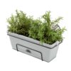 18420 Garden Up herb planter concrete