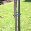 18713 Adjusta Ties 120mm 50pk Green