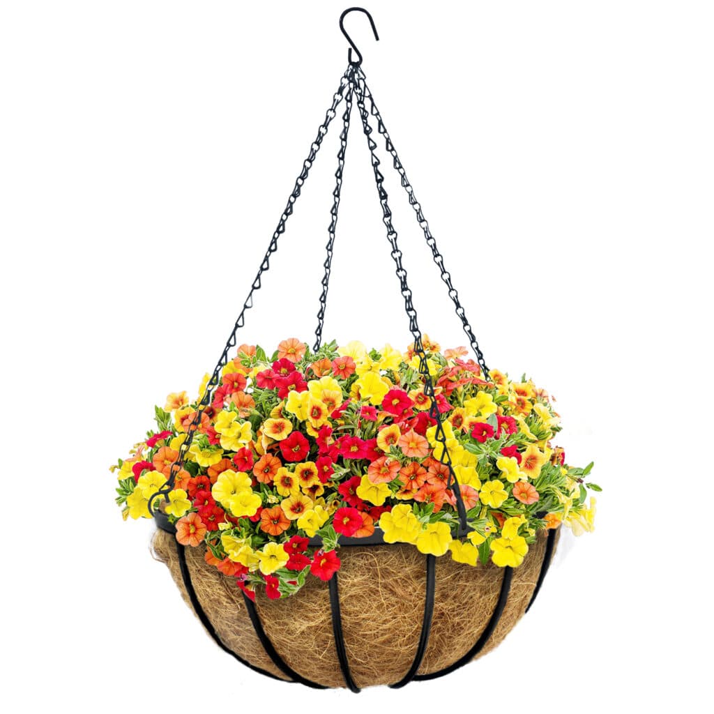 Garden Up® Valencia Hanging Baskets Jack