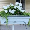 18690 Garden Up classic planter concrete grey lifestyle credit: orangetreeonalice