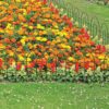 14360 Looped Border Edging Garden Bed