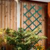 Jack 18621-X-pand Trellis