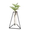 Jack Gro-Tube Propagation Vase Triangle Black 18904