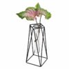 Jack 18905 Gro-Tube Propagation Vase Square Black