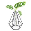 Jack Gro-tube propagation vase diamond