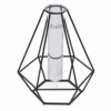 Jack Gro-tube propagation vase diamond
