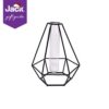 Black triangle propagation vase for modern indoor plant propagation