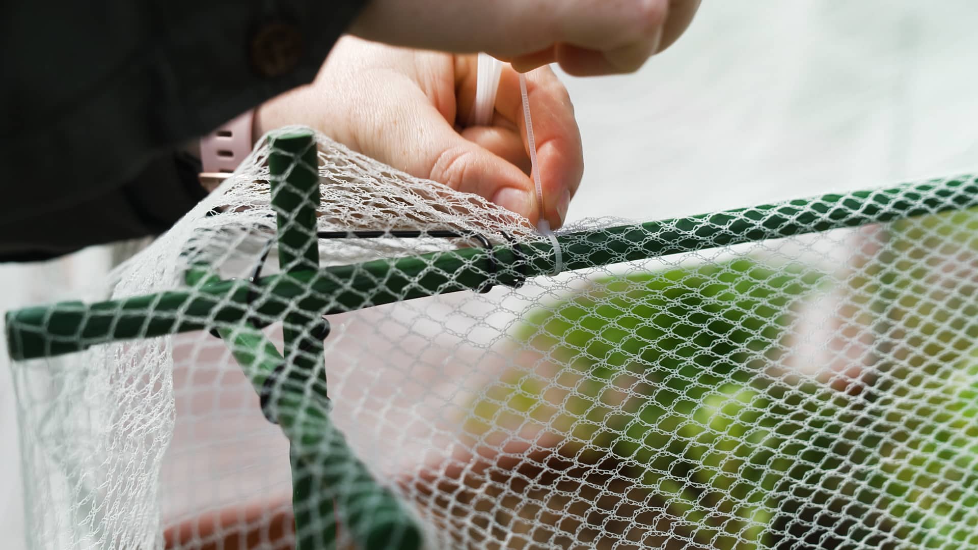Jack Crop cage - netting - how to install