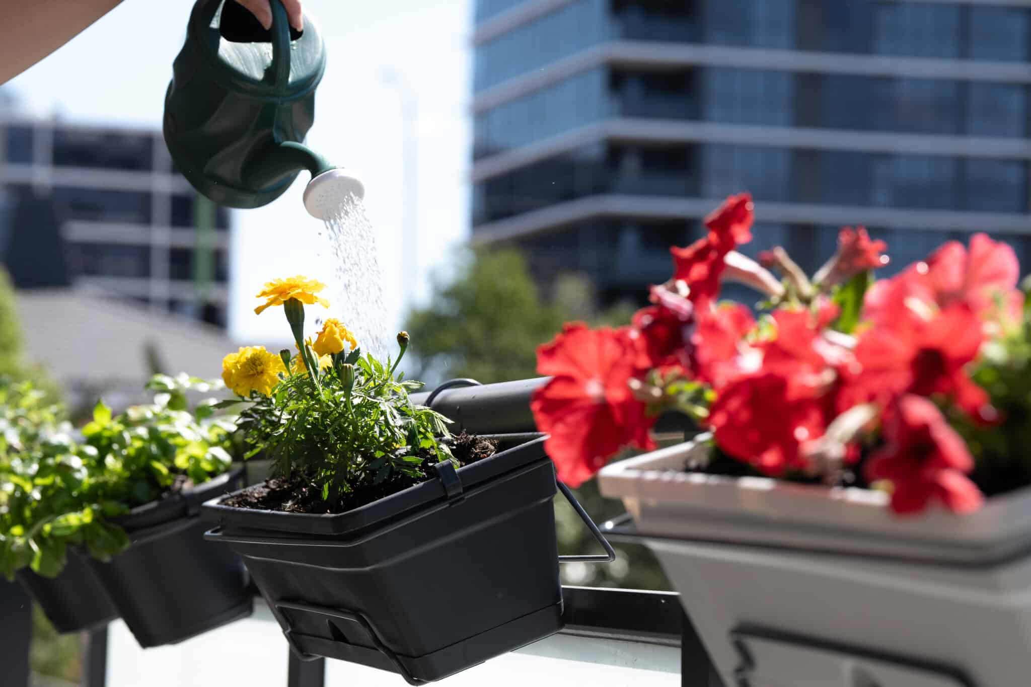 balconygarden