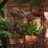 Jack 18197 - Garden Up wall plant stand