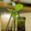 Jack 18906 - Propagation vase - black - diamond