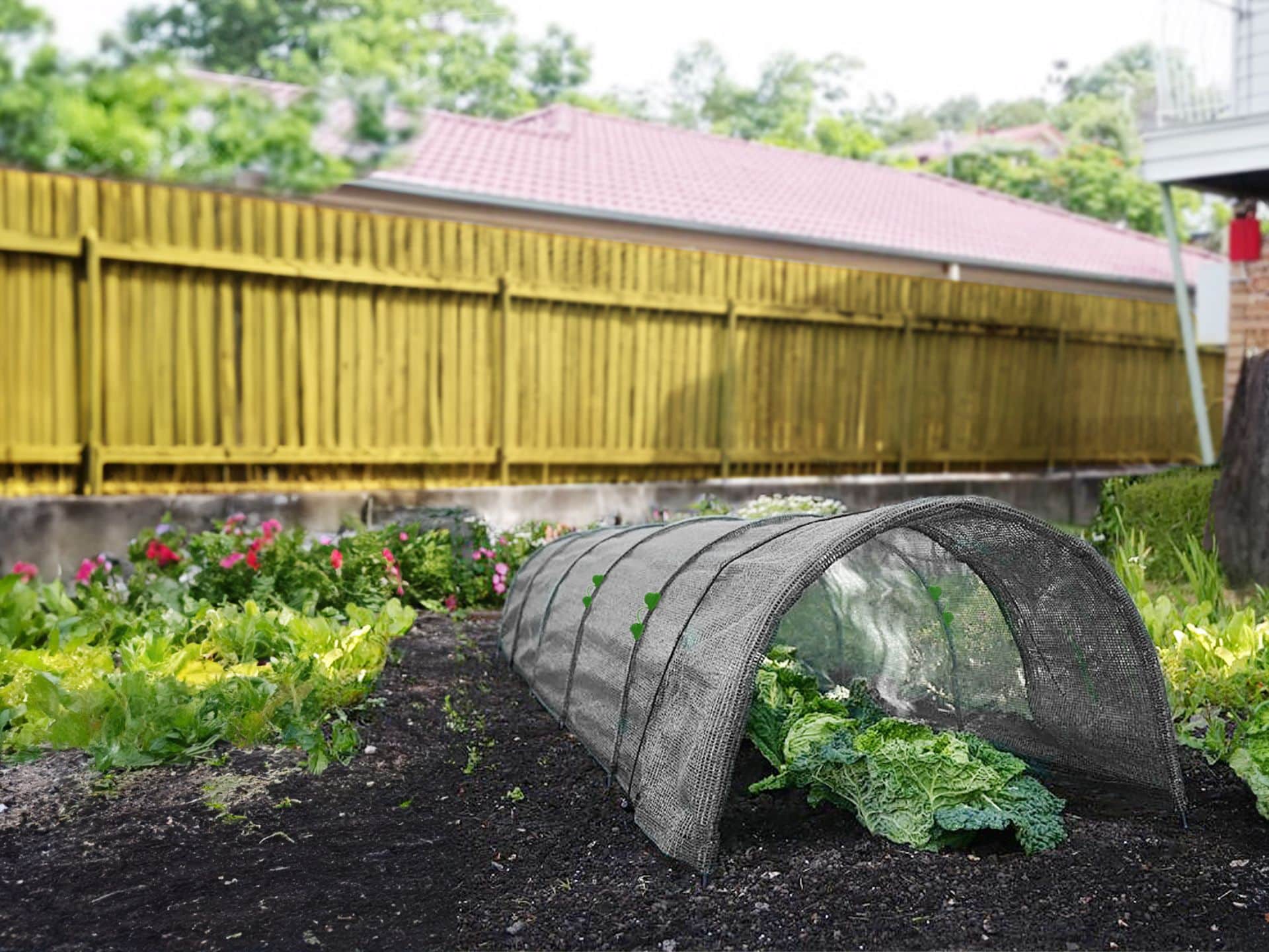 Plant protection shade tunnel covering young seedlings