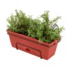 Jack Garden Up Herb Planter 18684