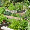 Jack Garden hoop vegetable garden18791 18790