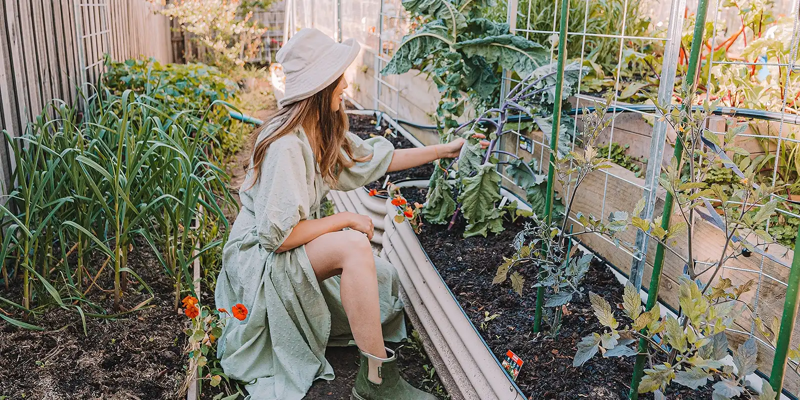 5 Helpful Tips for a Happy Summer Garden