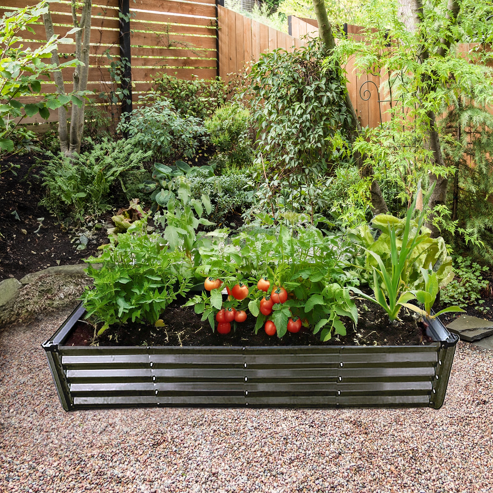 14417 Raised Garden Bed Squared end tomatoes