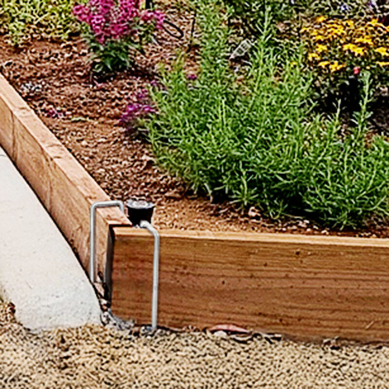 16005-Jack Sleeper Pegs Garden