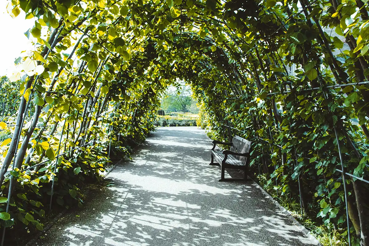 large garden arch