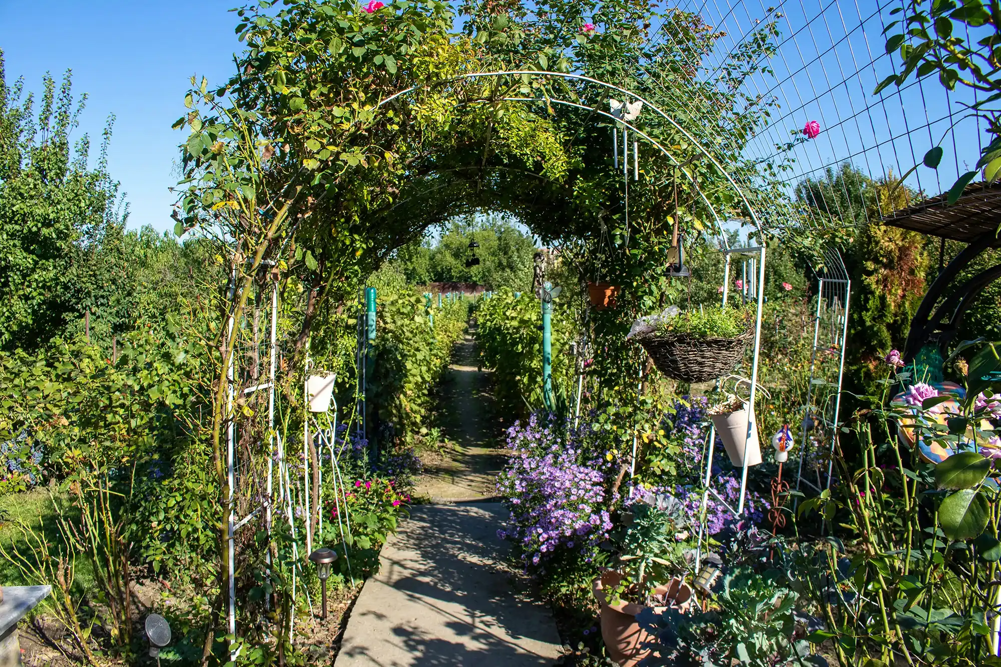 Small Arch 8 gorgeous garden arch ideas for spaces big and small | Jack
