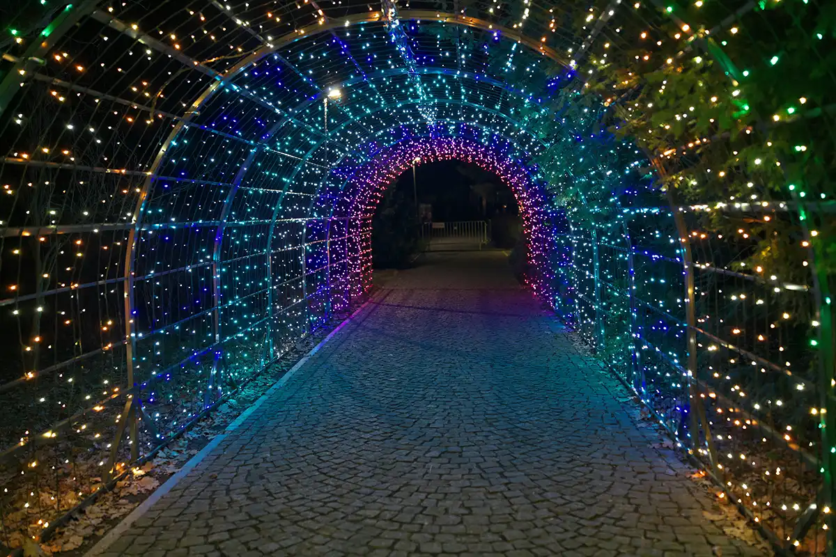 fairy lights