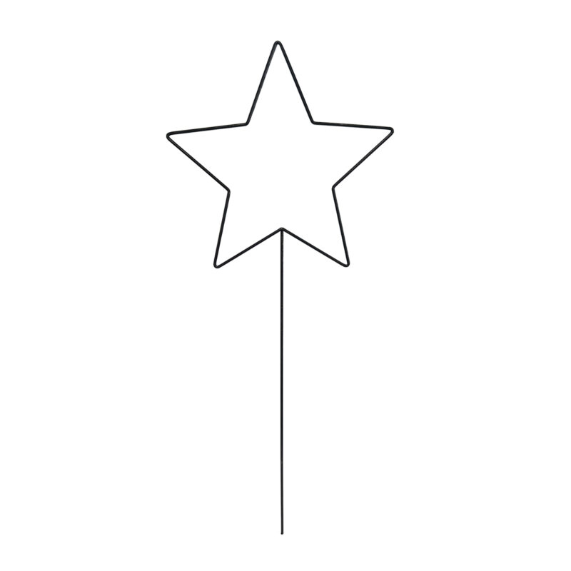 Star Trainer-18833-front