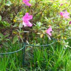 18841-Half Hoop Plant trainer