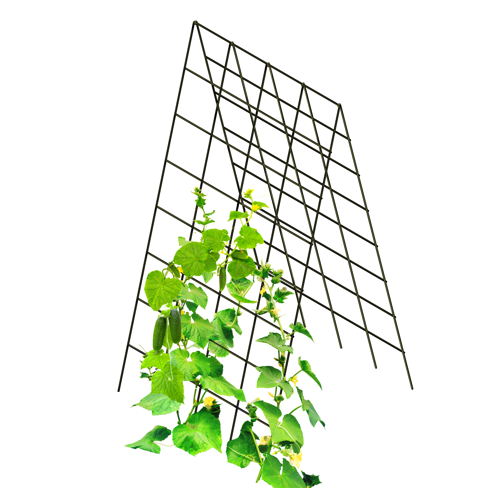 18846 Jack Grip 'n' Grow A-Frame Trellis 1600x800mm product hero-1_interim