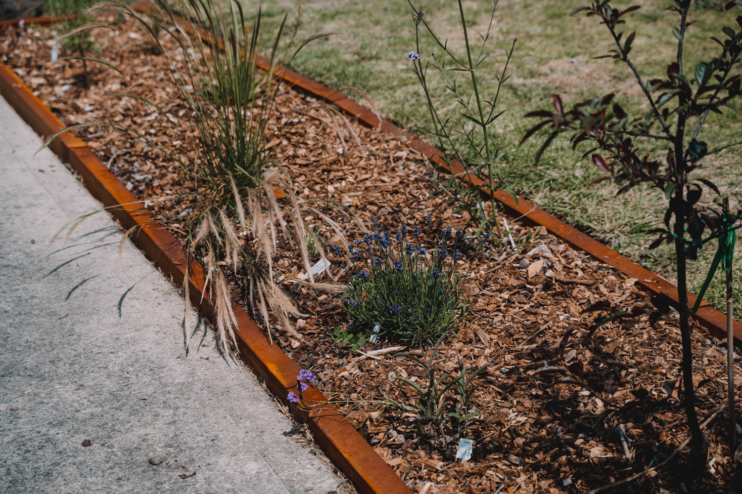 DIY Jack Edging Site Visit 2-23