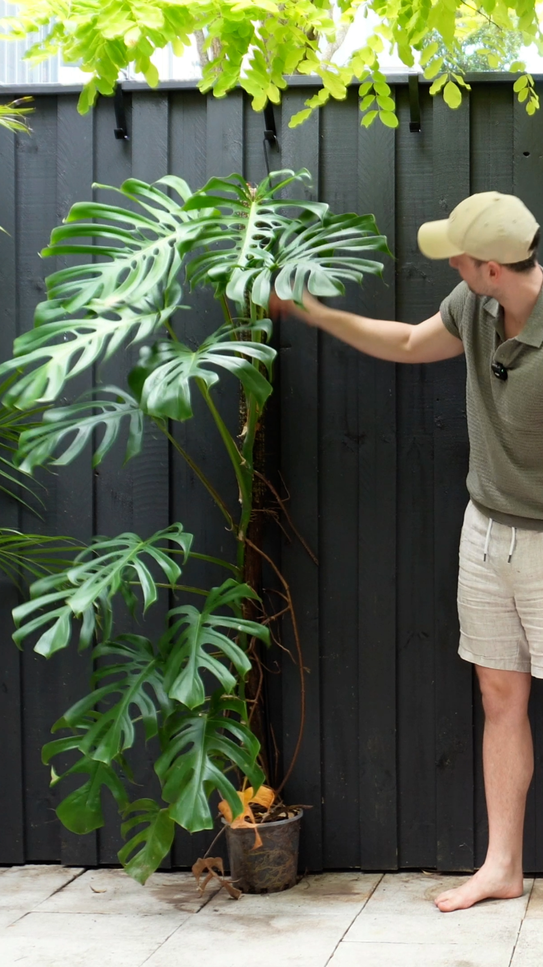 1080x1920px_modulargreenwall