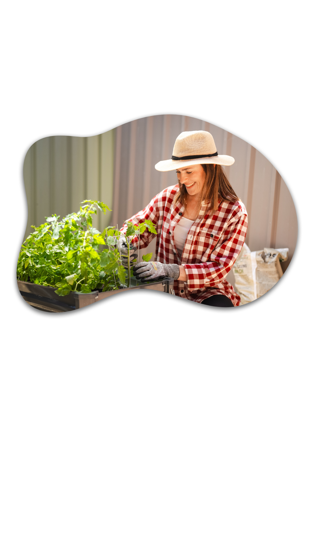 Inspiration + Advice category_veggie garden (Your Story) (1)